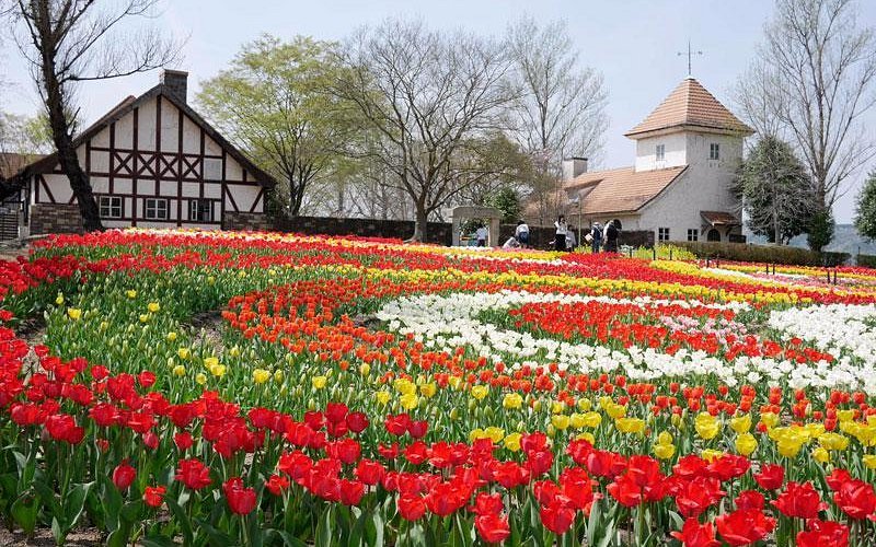 🌳 오카야마 삼림 공원 독일의 숲(오카야마 포레스토파쿠 도이츠노모리) 이미지 9